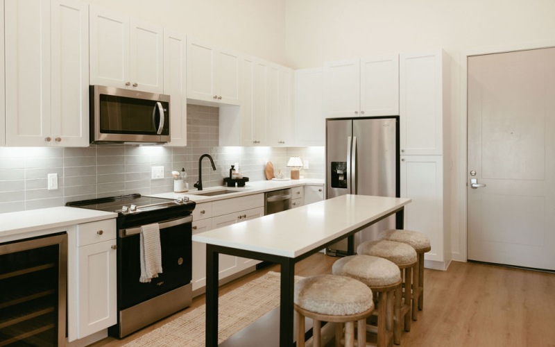 beautiful kitchen with designer finishes