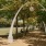 Large Community Park and Amenities